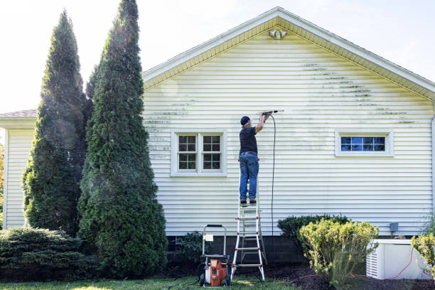 Best Gutter Cleaning  in Chestnut Ridge, NY